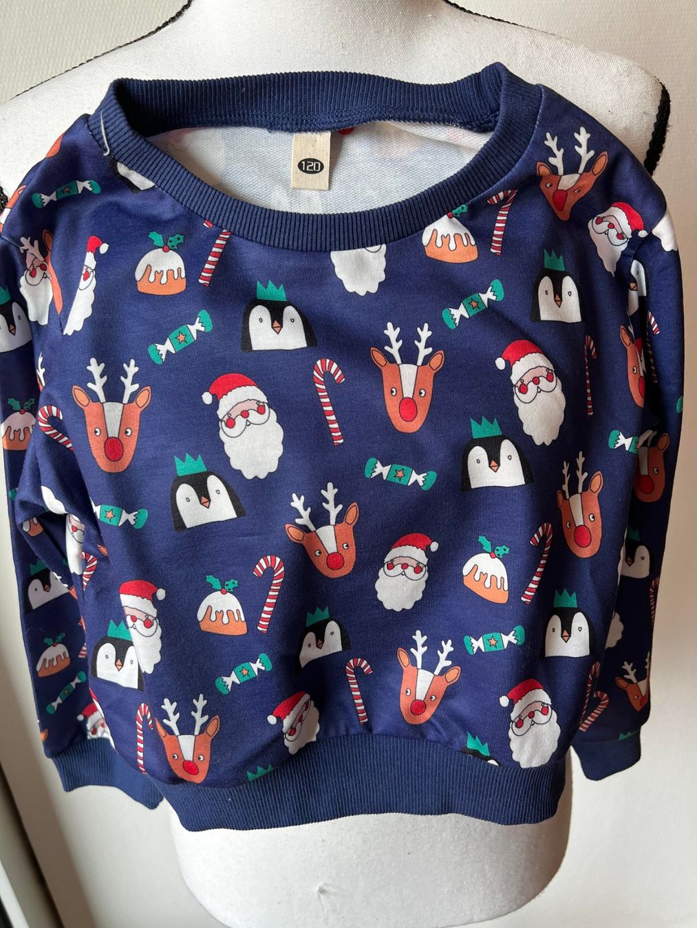Pulls et sweat-shirts: Neue Pulli für Kinder 5-6 Jahren – Neuf avec emballage d'origine à Riehen par edu_92w7 3