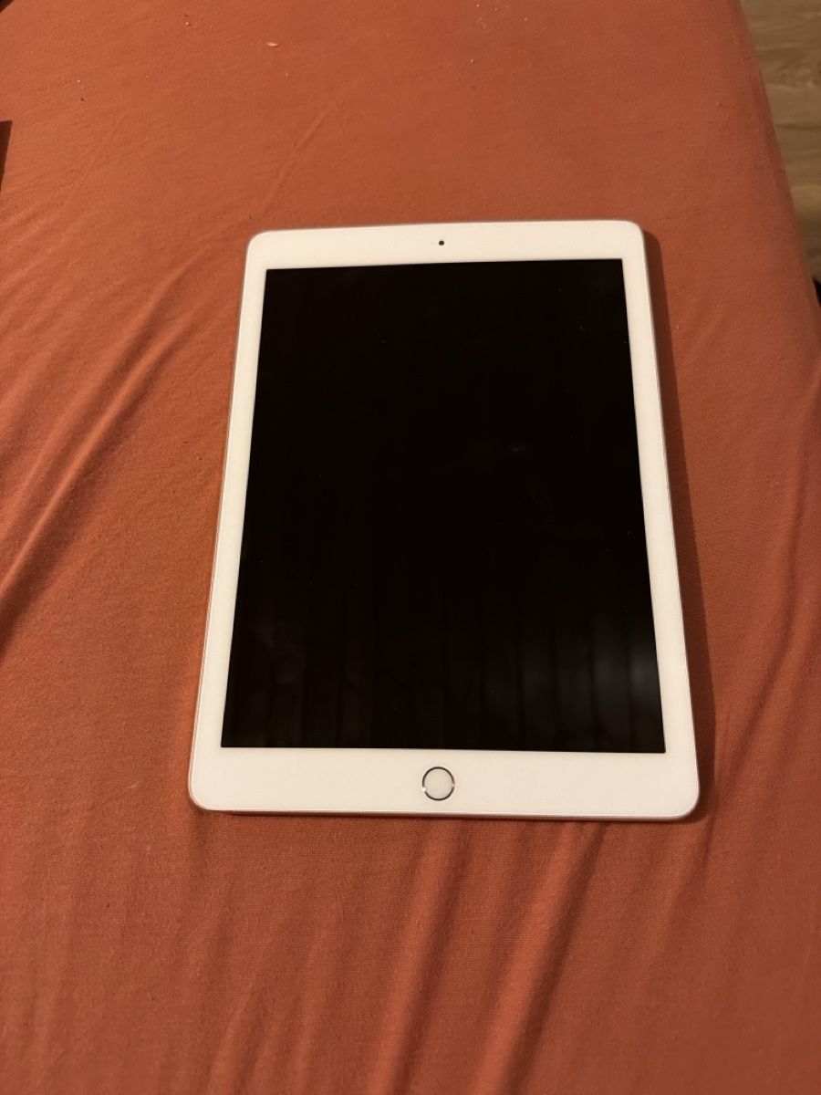 Apple Tablettes PC: Apple iPad Air 2  – D'occasion à Embrach par geo_727s