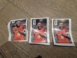 panini coca Alphonso Davies
