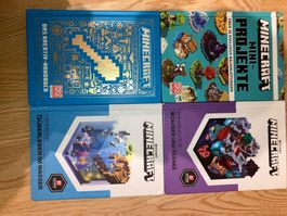 Minecraft Handbücher, 4 Stück, super Zustand, günstig!