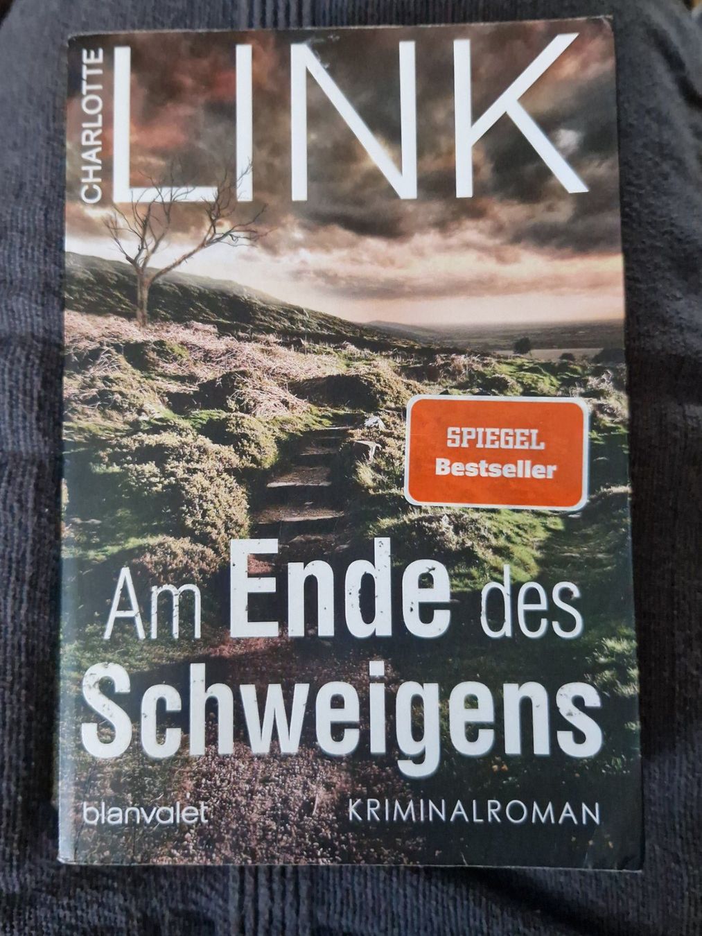 Libri: Charlotte Link  Am Ende des Schweigens – Usato da Neuhausen am Rheinfall venduto da Alchimista