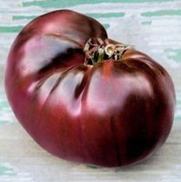 TOMATE Schwarze (NOIRE DE CRIMEE ) / 10 Samen