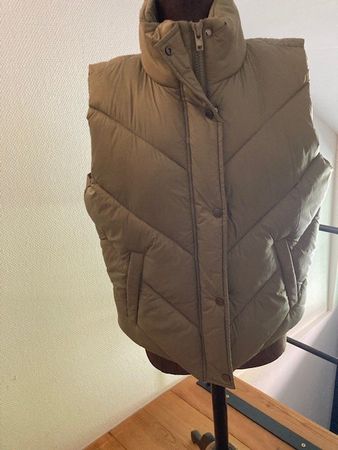 Damengilet