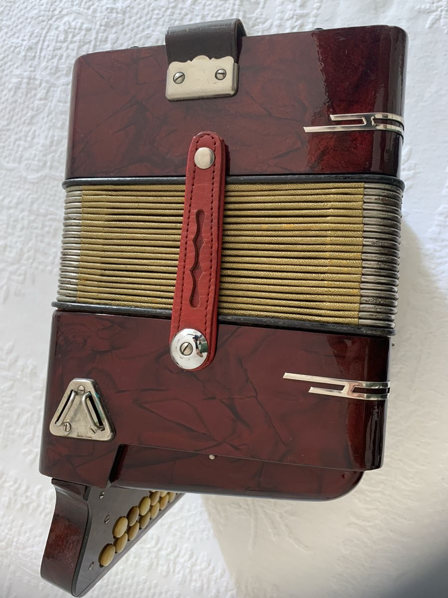 Hohner Strumenti musicali: Diatonische Handorgel / Concertina en Sol – Usato da Zürich venduto da Olimpied 5