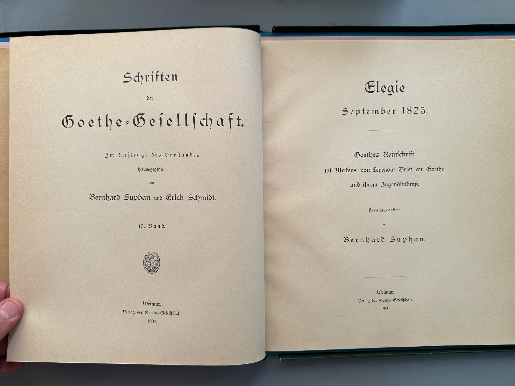 Libri: 11 Schriften der Goethe-Gesellschaft – Usato da Zürich venduto da allp 2