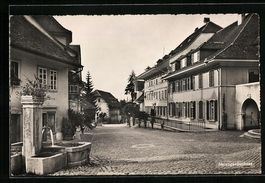 Herzogenbuchsee, Strassenpartie mit Brun