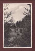 Pension WALDHOF - Saas im Prätigau - 1931