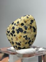 Dalmatian Jasper mit Bohrung, ca. 3 cm