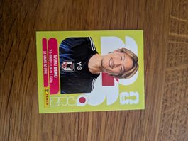 Panini Japan 4