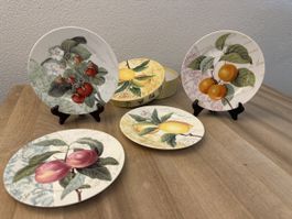 Teller 4 Stück 19 cm Fruchtmotiv unbenutzt