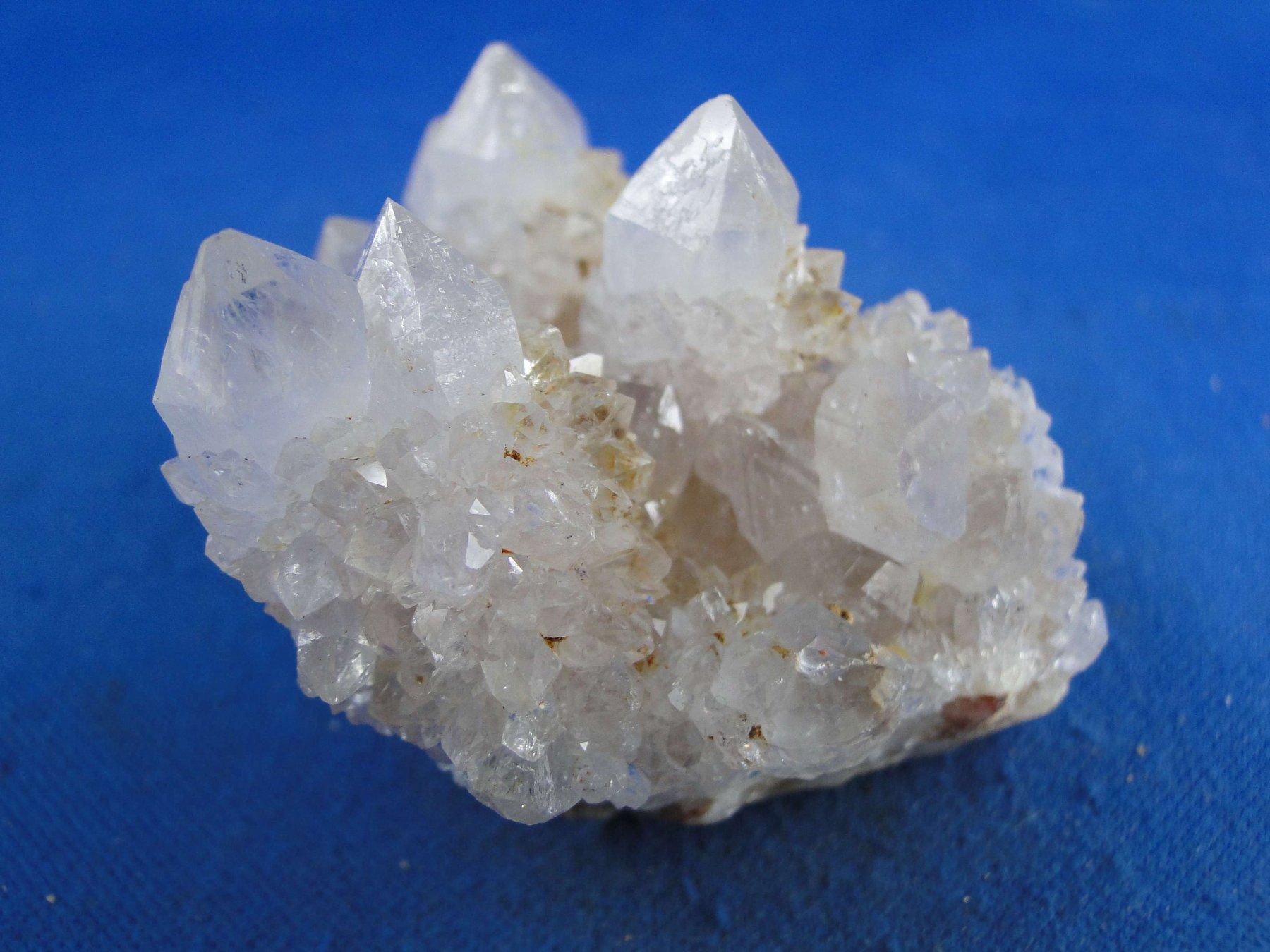 Mineralien & Heilsteine: Quartz var. Amethyst & Kaktus – Neu und originalverpackt aus Schinznach Bad von Demerald 3