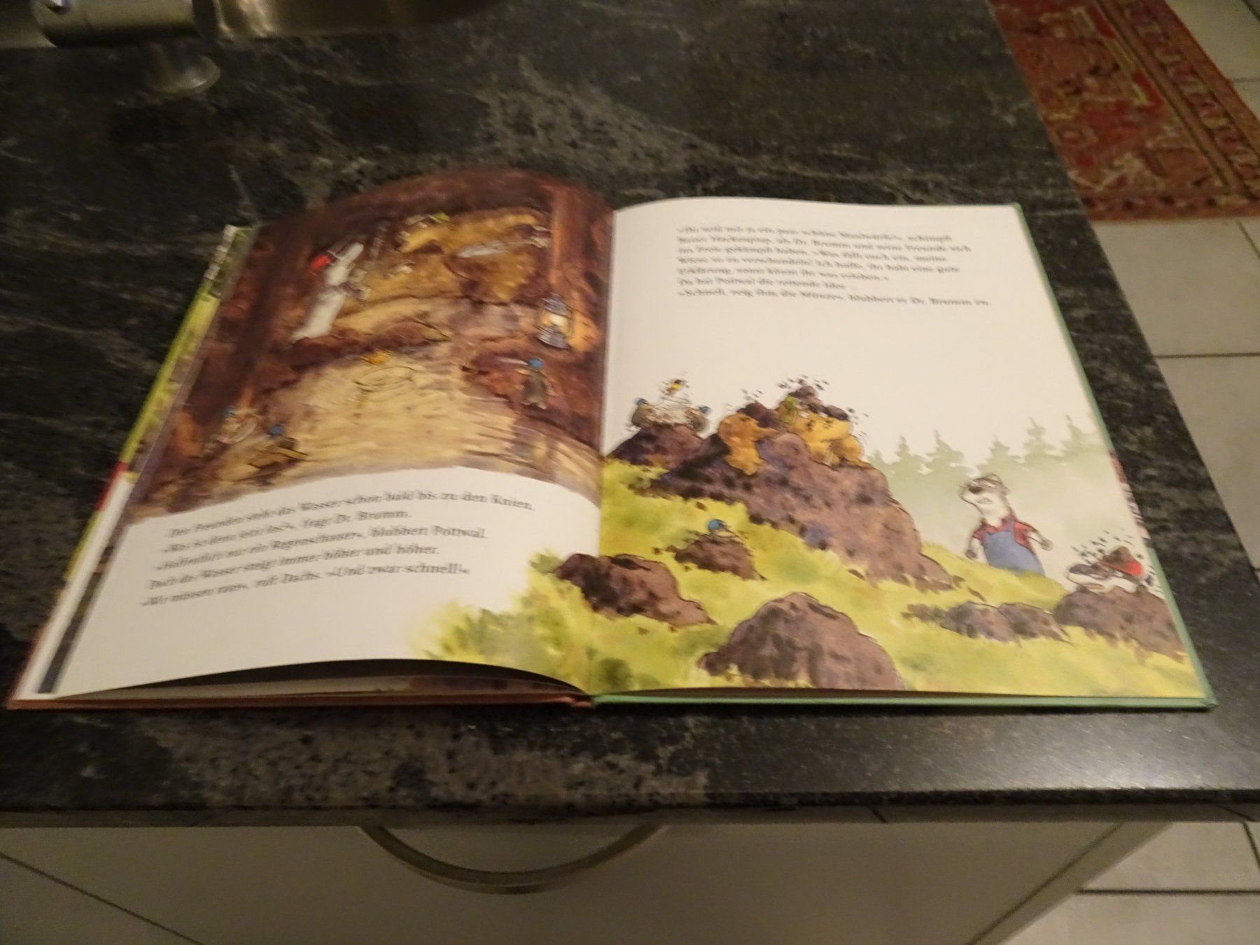 Libri: Bilderbuch  Dr. Brumm und der Megasaurus – Usato da Zürich venduto da Roulet 6