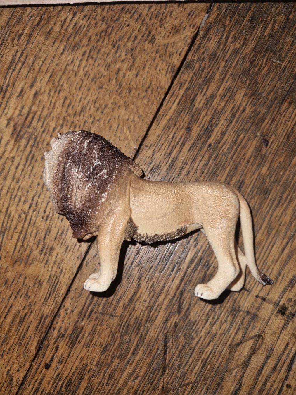 Schleich Spielzeuge: Lion schleich – Gebraucht aus Fribourg von  5