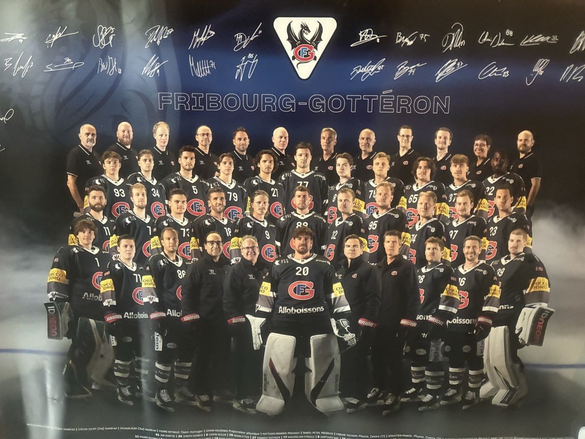 Foto & Immagini: Fribourg Gotteron Poster 24/25 !  – Nuovo (secondo la descrizione) da Adliswil venduto da Datty