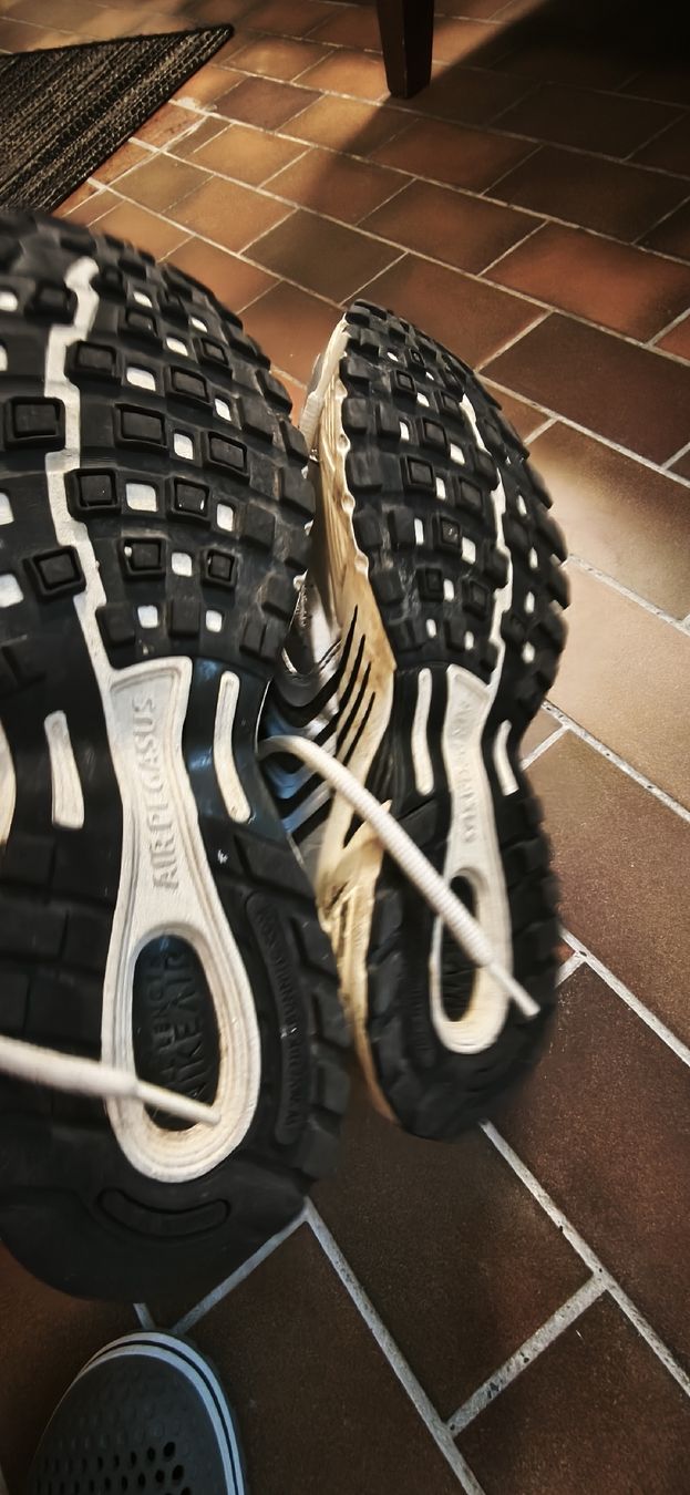 Scarpe da uomo: Nike Air Pegasus 45.5 – Nuovo (secondo la descrizione) da Balsthal venduto da GravelDudz 2