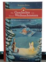Weihnachtsgeschichte: Der kleine Weihnachtsstern