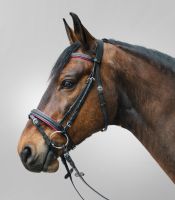 Waldhausen STAR Trensenzaum Diamond Fuchsia/Schwarz COB