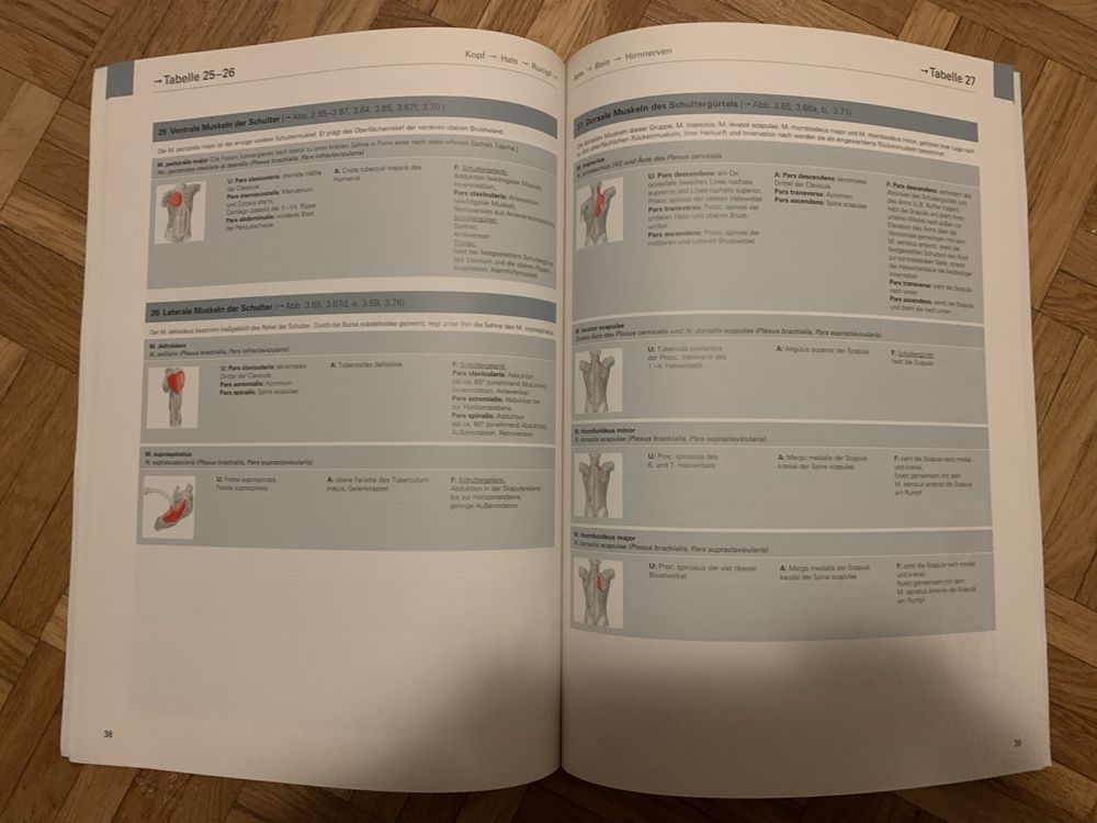 Sobotta Anatomie Tabellen (Gebraucht) in Bern für CHF 9 – mit Lieferung ...