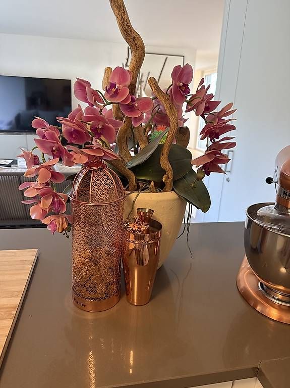 Alle Dekorationen: Künstliche Orchideen – Gebraucht aus Schindellegi von wae_fhj7