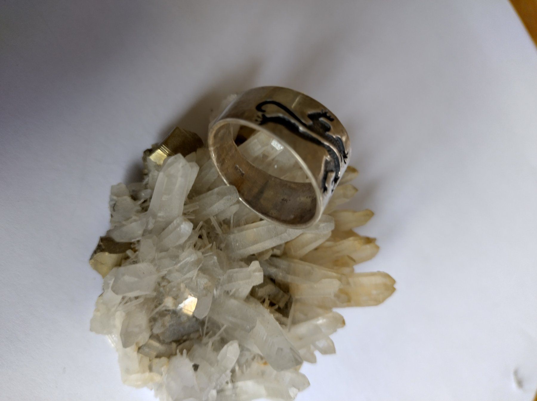 Anelli: RING MIT ECHSEN SILBER 925 DAUMENRING XL – Usato da Romanshorn venduto da Stubsinator 3
