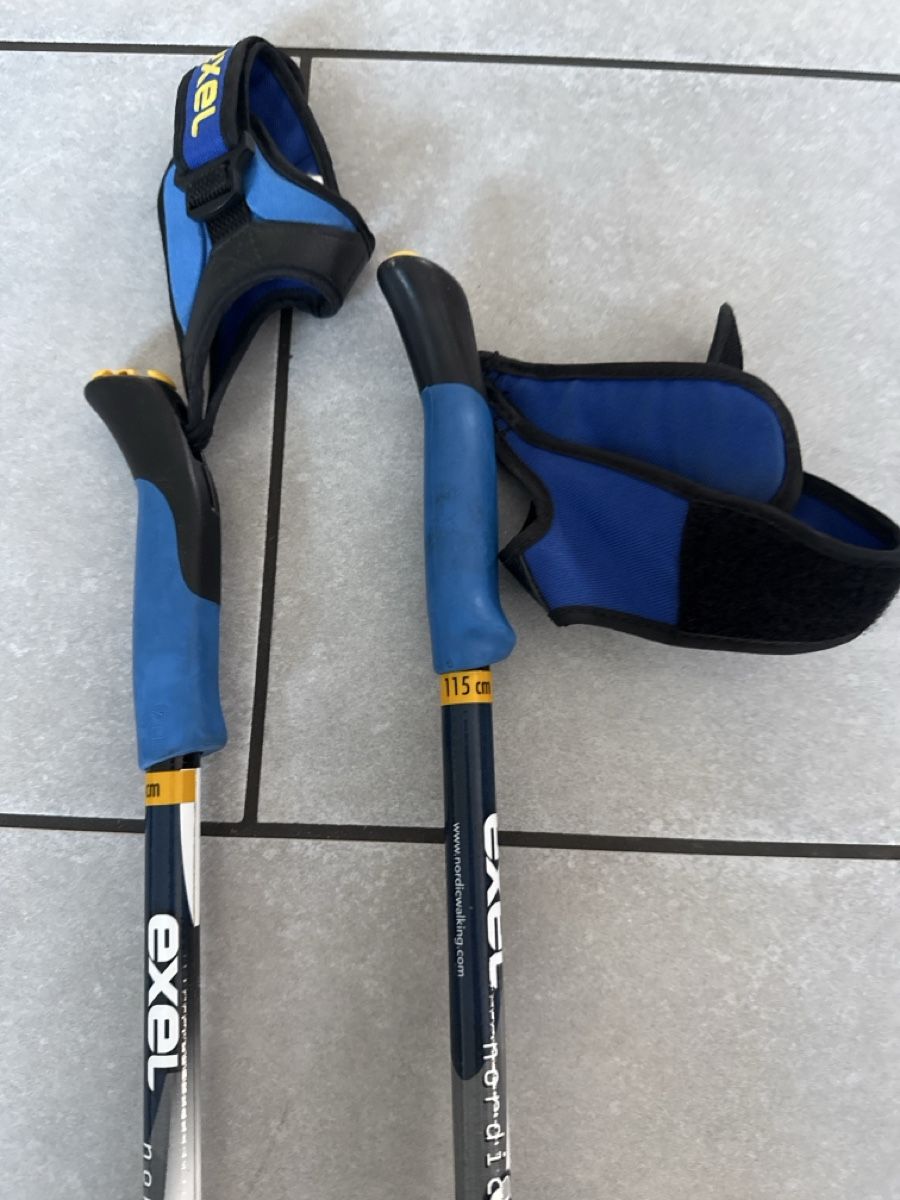 Altri accessori: Nordic Walking Stöcke – Usato da Möhlin venduto da Palessandro91 1