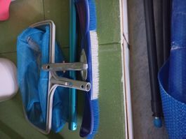 Reinigungsbürste für Pool