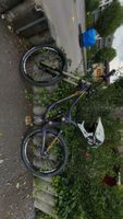 Kona Operator 2012