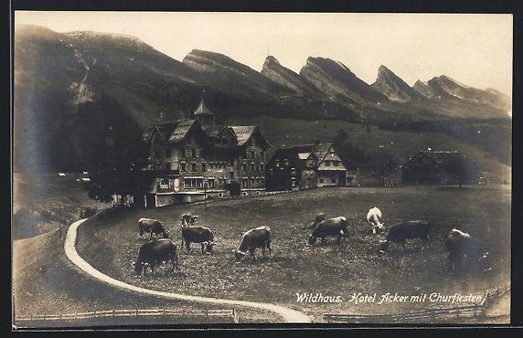 Cartoline postali: AK Wildhaus, Hotel Acker mit Churfirsten – Usato da Berlin venduto da bartko-reher