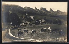 AK Wildhaus, Hotel Acker mit Churfirsten
