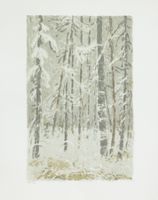 Leonhard Meisser, Originalfarblithografie