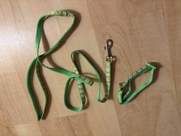 Hundehalsband und Leine Set, grün mit Pfotenmuster, neu