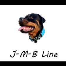 Profile image of J-M-B-Line