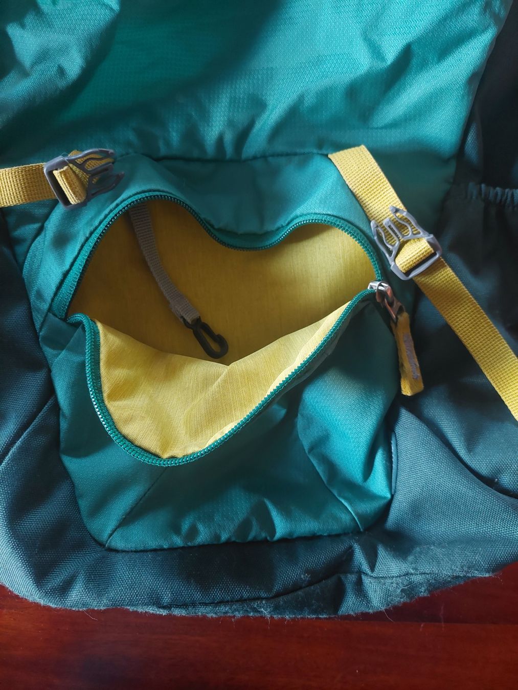 Deuter Borse & Zaini: Deuter Rucksack Junior Grün 18l – Usato da Beckenried venduto da Havacola 2