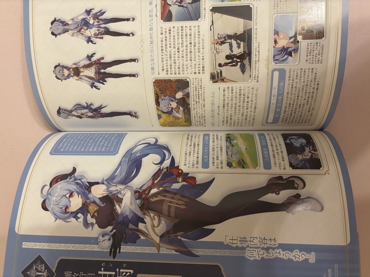 Libri: Genshin Impact Fanbook – Nuovo e nell'imballaggio originale da Andelfingen venduto da Good_Quality 4