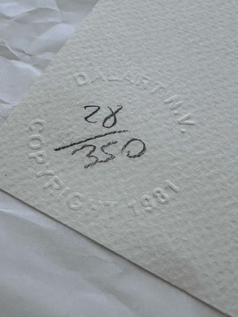 Grafica & Litografie: Salvador Dali Print – Usato da Zürich venduto da Ddechkovd 1