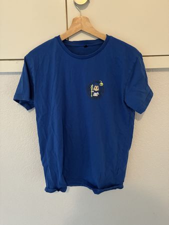 Zelda Echoes of Wisdom T Shirt (L)