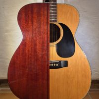 Western Gitarre Morris F-301