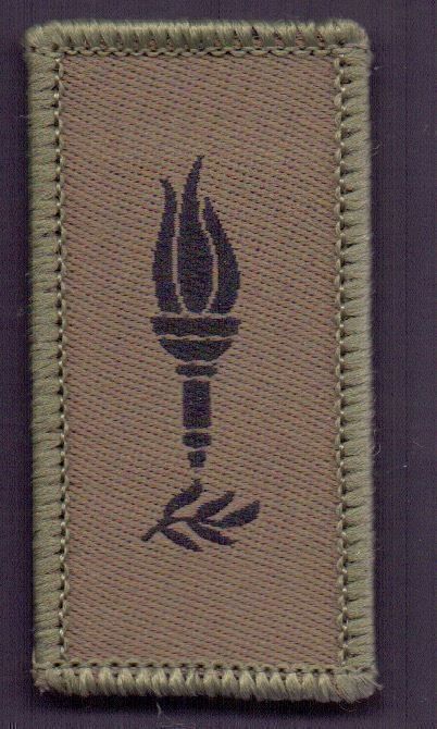Schweizer Armee Placchette & Badge: Sport Klett – Nuovo e nell'imballaggio originale da Koblenz venduto da Himmelsreiter