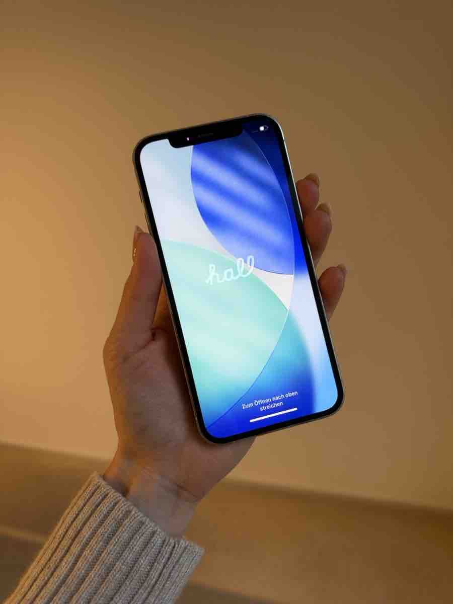 Apple Telefoni cellulari / Smartphones: Apple iPhone 12 Pro – Usato da Zürich venduto da aglier 9