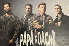 Papa Roach 2 Stehticket Hallenstadion