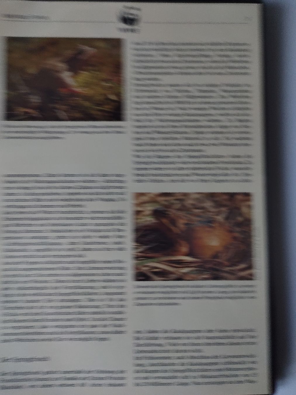 Tutti i francobolli: WWF Sammlung gefährdete Tierarten Jersey Briefmarken – Nuovo (secondo la descrizione) da Greifensee venduto da Retepw 2