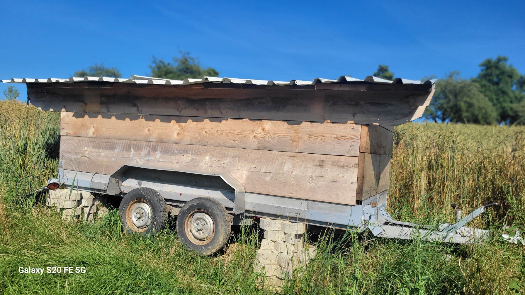 Tutti i DVDs: Schweine Stall – Usato da Rifferswil venduto da Raphaela96