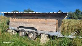 Schweine Stall