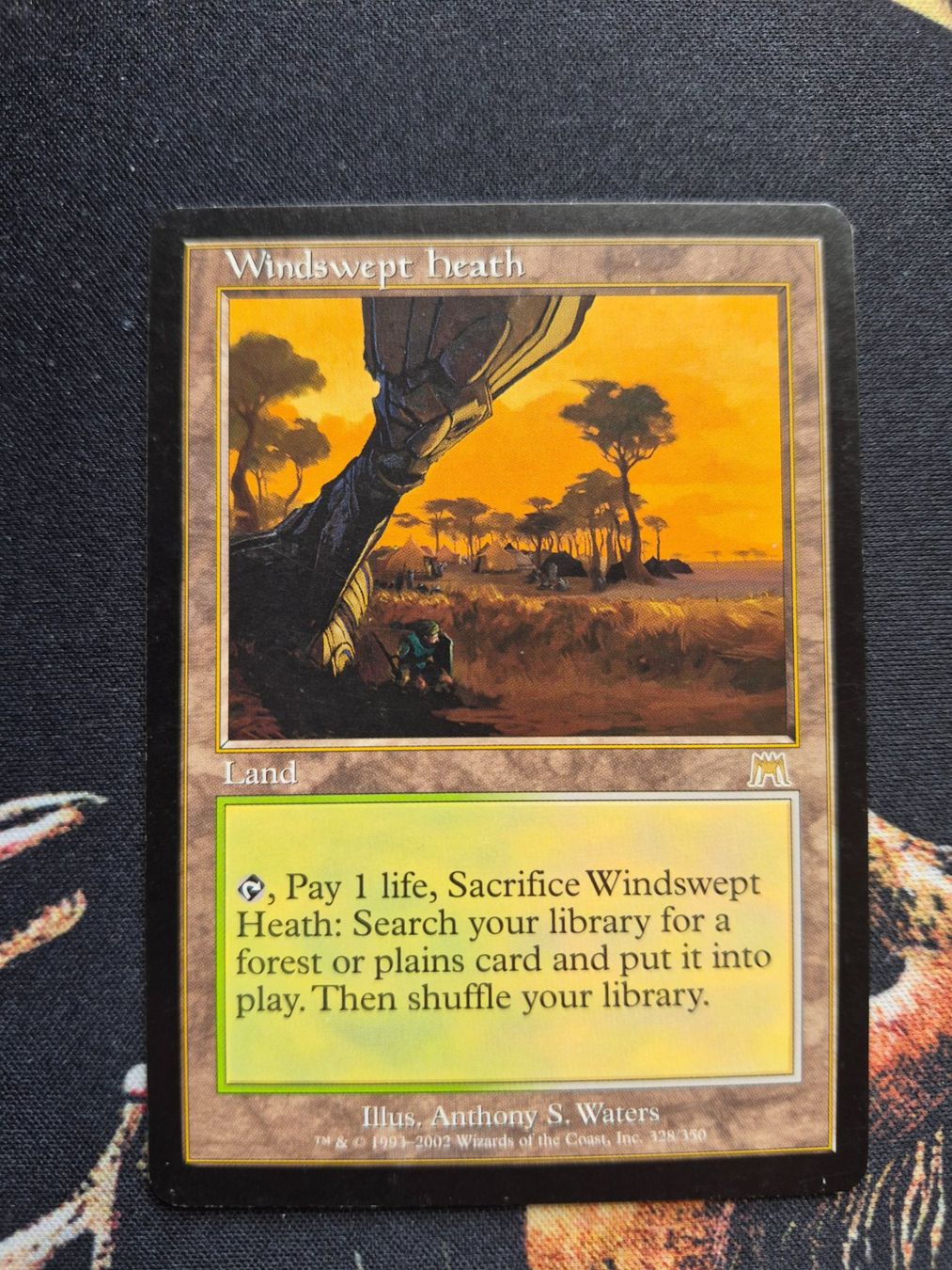 Magic The Gathering Sammelbilder & Trading cards: Windswept heath – Gebraucht aus Gampelen von sebest95