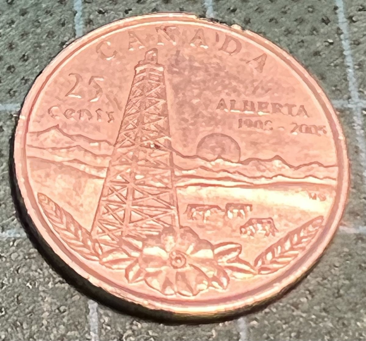 Tutti le monete: 25 Cents Quarter Canada 100 Jahre Alberta – Usato da Sevelen venduto da Ritiplampi 2