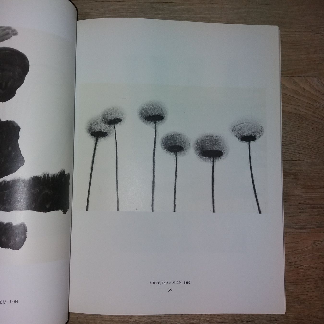 Libri: KUNSTKLASSIK   Silvia Bächli   rares buch – Usato da Welschenrohr venduto da Regool 2