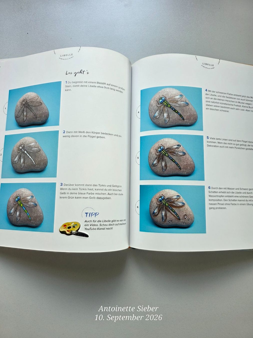Libri: Steine Bemalen – Nuovo (secondo la descrizione) da Salez venduto da Bellas-Huesli10 2