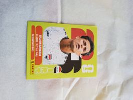 Panini IRQ 11