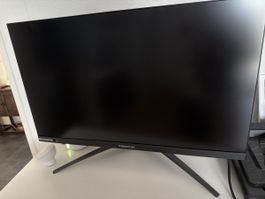 Acer Predator Gaming Monitor