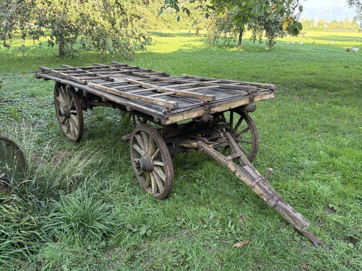 Rimorchi: Holzwagen Altertum – Usato da Wangen SZ venduto da Freilich89 2